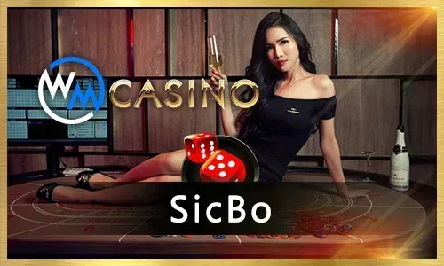 Jili50 Live Casino